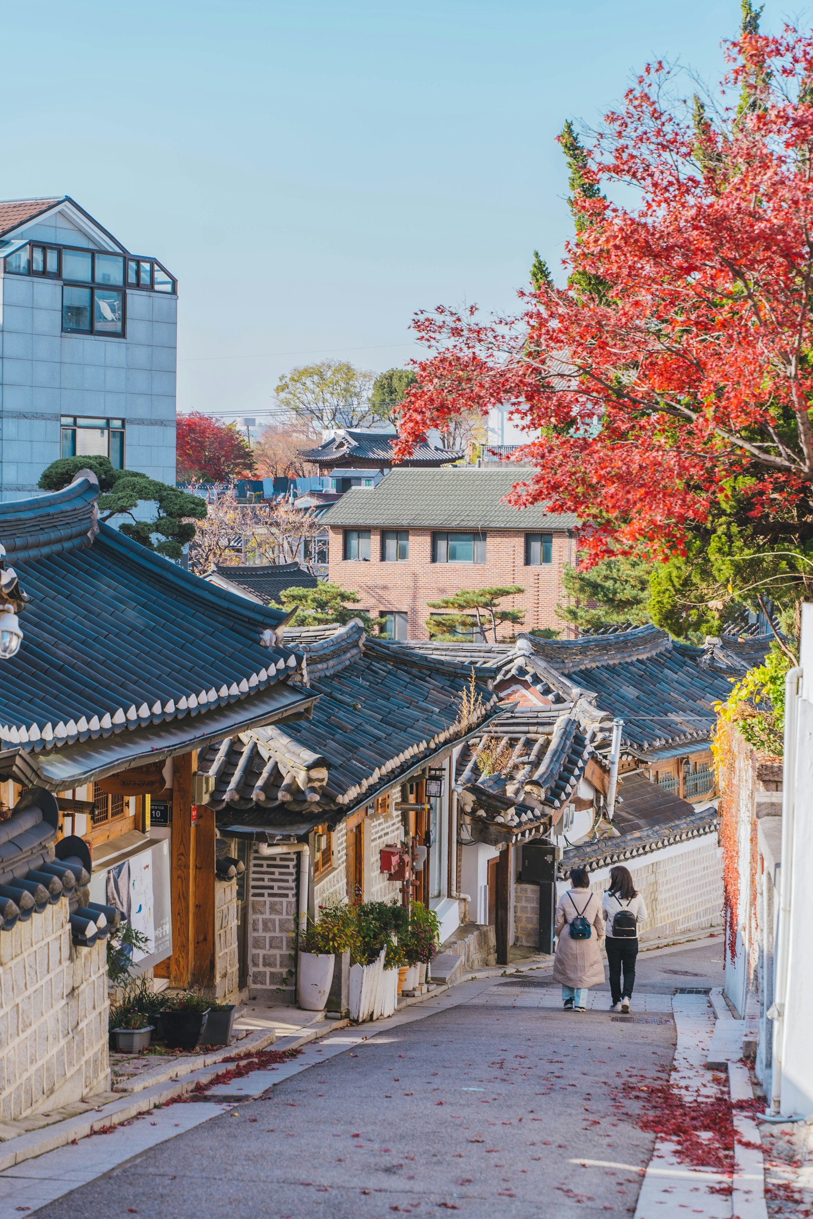 Confucian Family Values